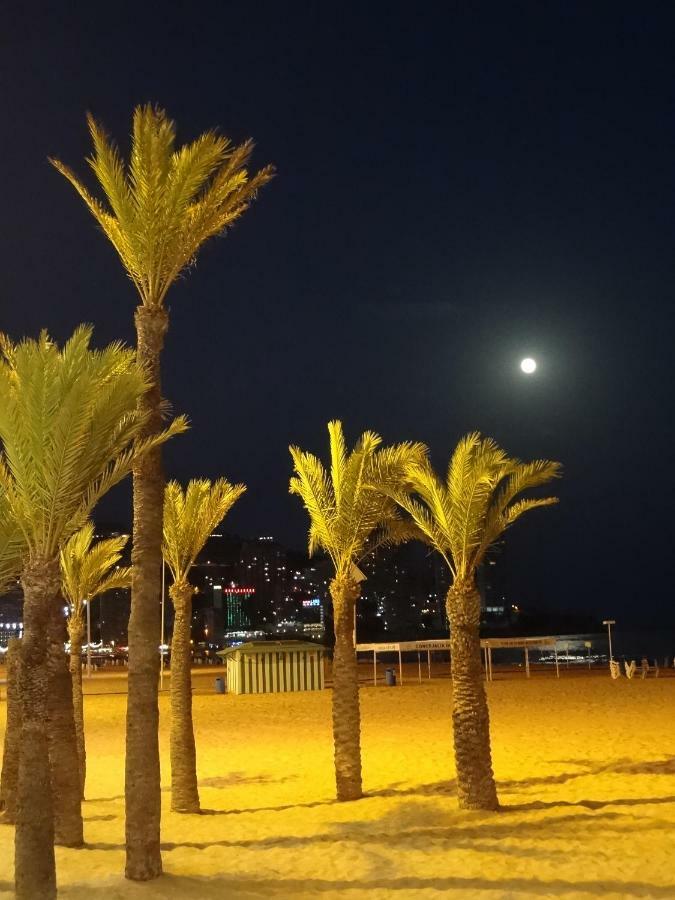 Best View - Welcome Penthouse Apartamentos Karola Benidorm Exteriör bild