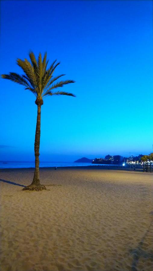Best View - Welcome Penthouse Apartamentos Karola Benidorm Exteriör bild